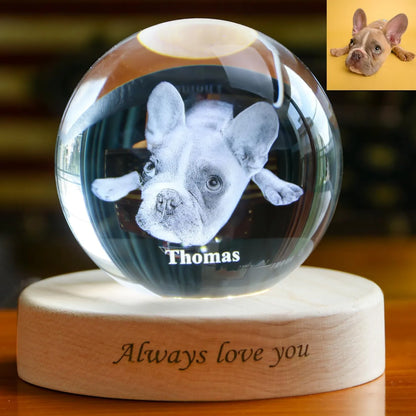 Custom 3D Pet Photo Crystal Ball