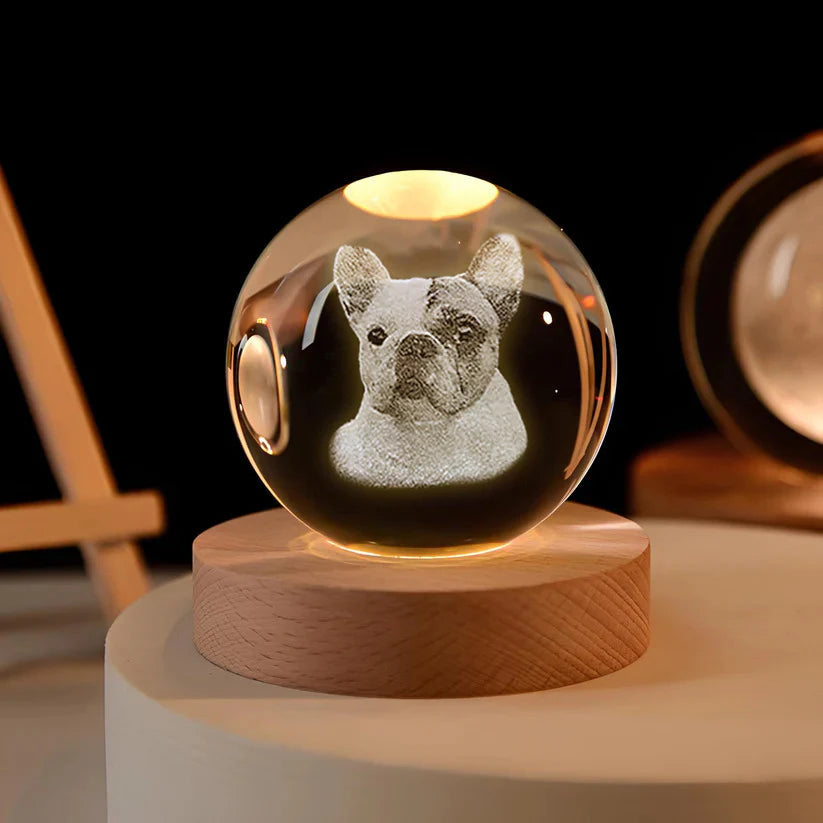 Custom 3D Pet Photo Crystal Ball