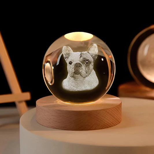 Custom 3D Pet Photo Crystal Ball
