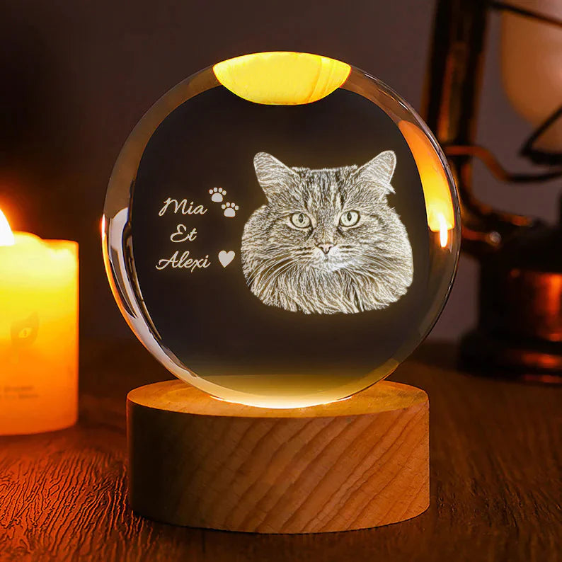 Custom 3D Pet Photo Crystal Ball