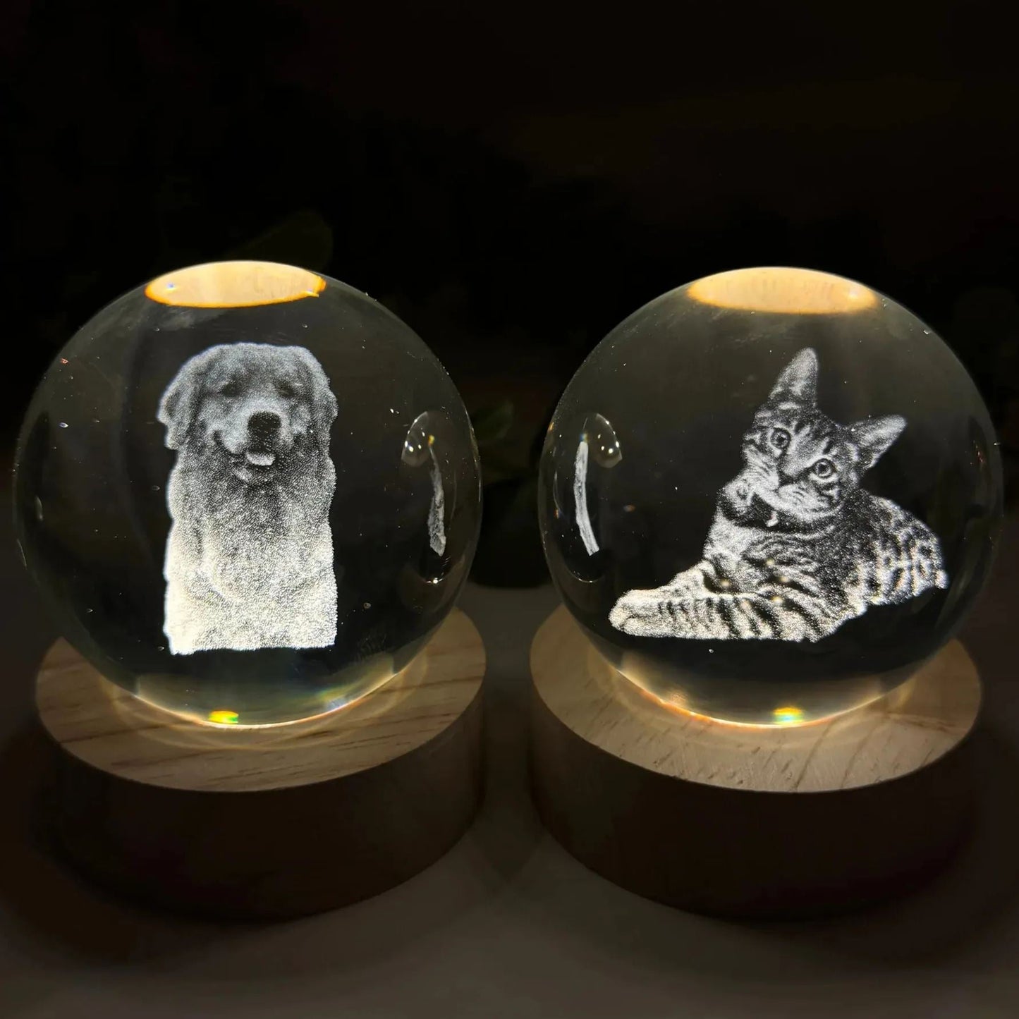 Custom 3D Pet Photo Crystal Ball