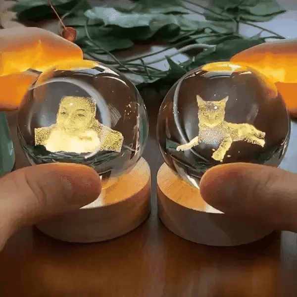 Custom 3D Pet Photo Crystal Ball