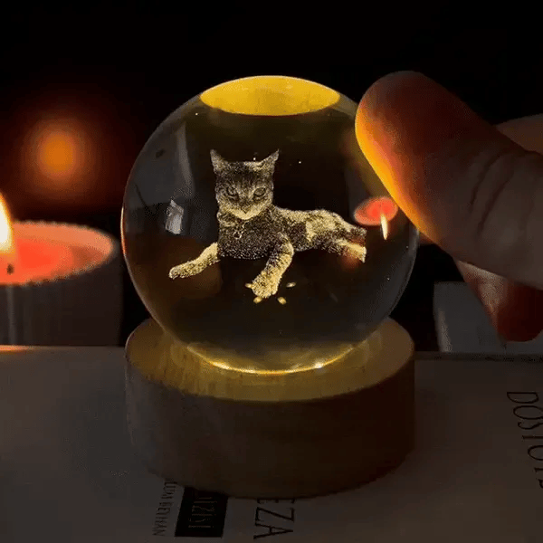 Custom 3D Pet Photo Crystal Ball